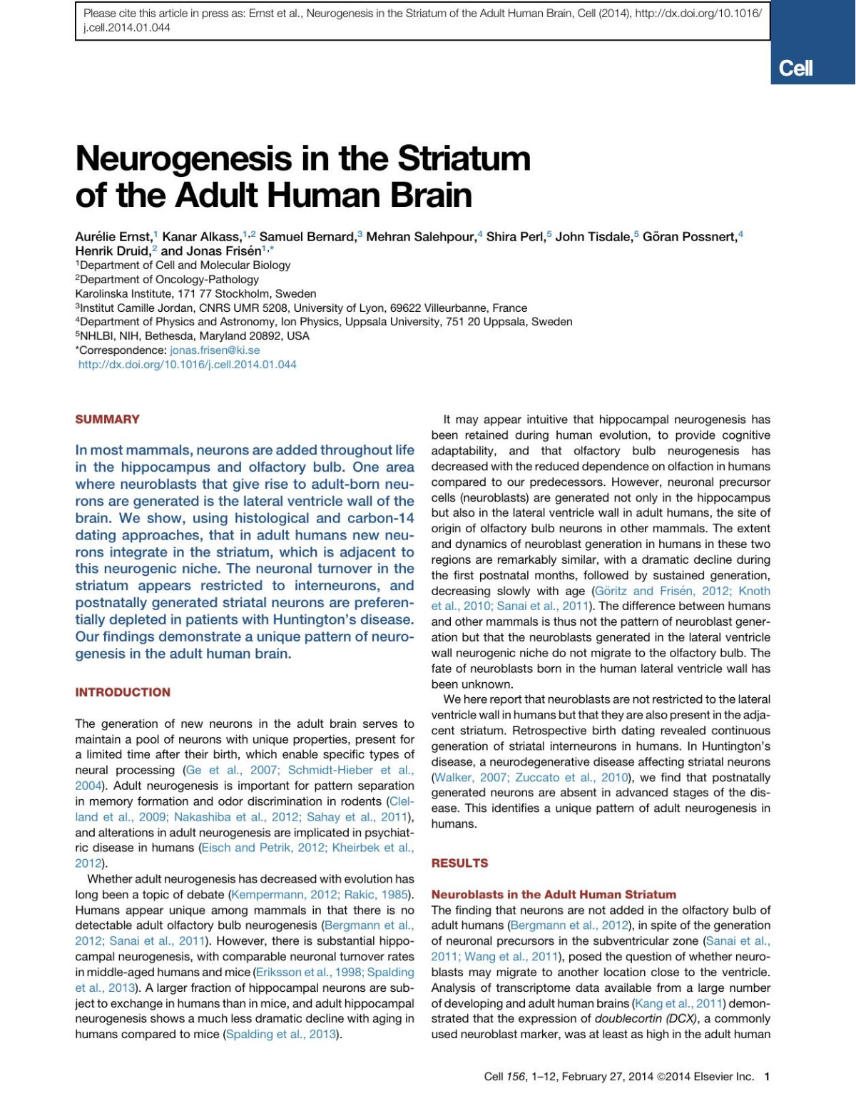 Neurogenesis In The Striatum Of The Adult Human Brain Aurlie Ernst Kanar Alkass Samuel Bernard Mehran Salehpour Shira Perl John Tisdale Gran Possnert Henrik Druid Jonas Frisn