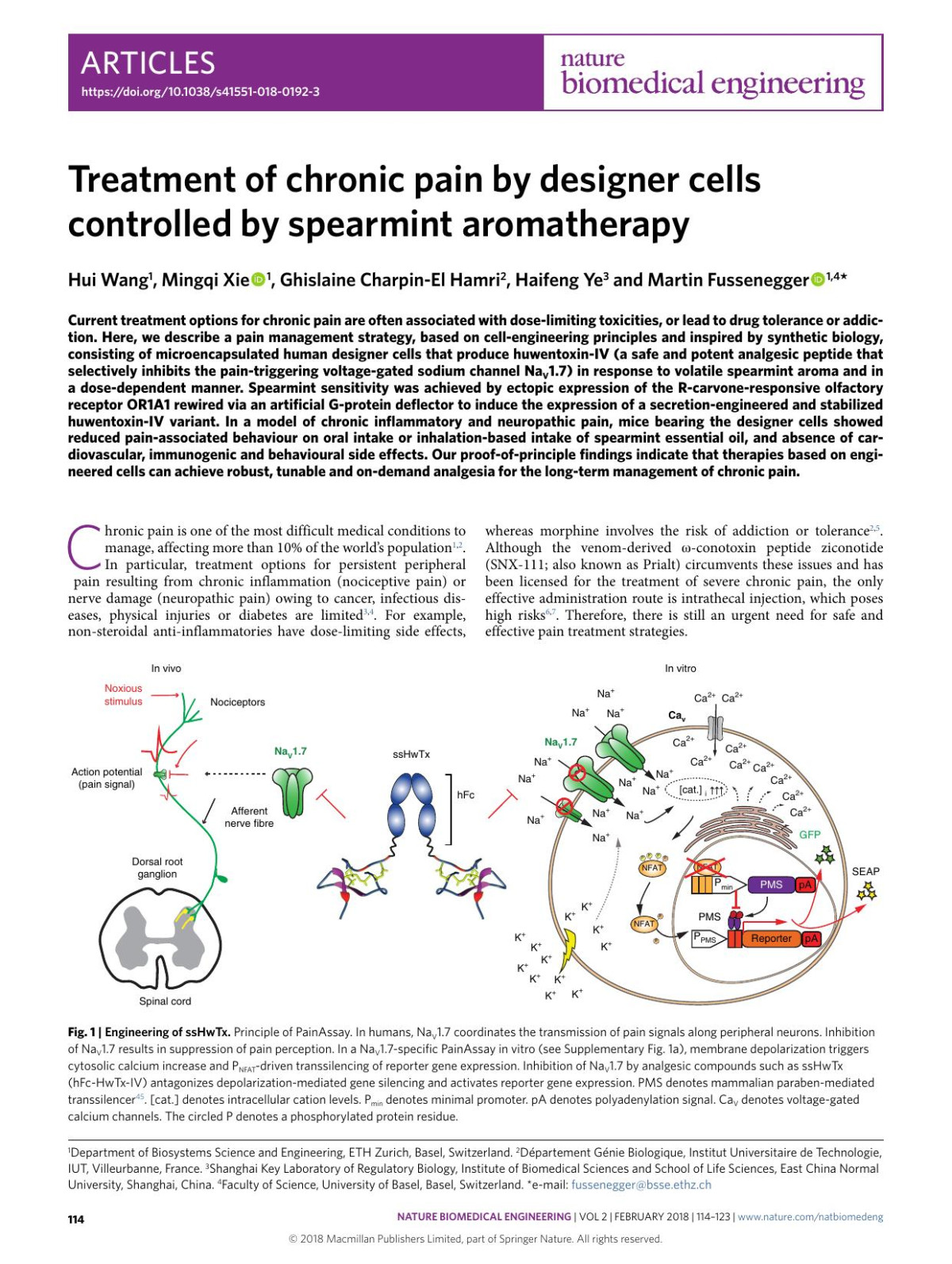 Treatment Of Chronic Pain By Designer Cells Controlled By Spearmint Aromatherapy Hui Wang Mingqi Xie Ghislaine Charpinel Hamri Haifeng Ye Martin Fussenegger