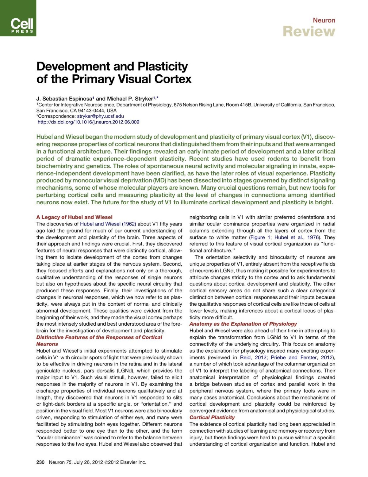 Development And Plasticity Of The Primary Visual Cortex Jnbspsebastian Espinosa Michaelnbspp Stryker Michaelp Stryker