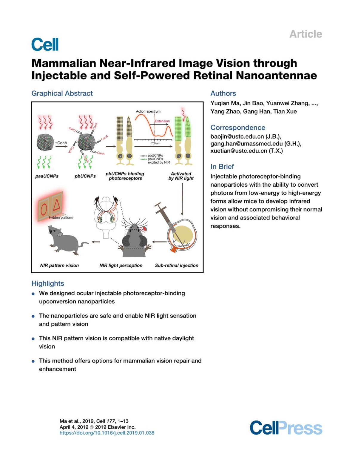 Mammalian Nearinfrared Image Vision Through Injectable And Selfpowered Retinal Nanoantennae Yuqian Ma Jin Bao Yuanwei Zhang Zhanjun Li Xiangyu Zhou Changlin Wan Ling Huang Yang Zhao Gang Han Tian Xue