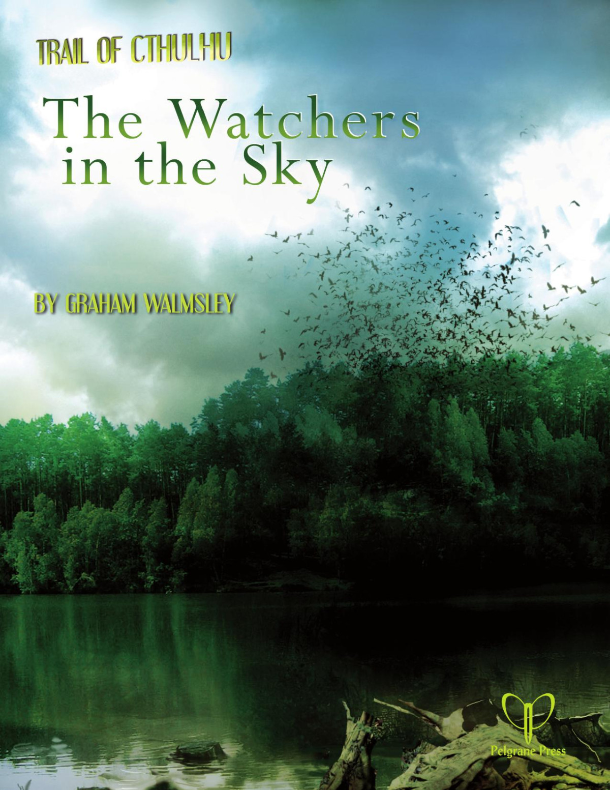The Watchers In The Sky Graham Walmsley