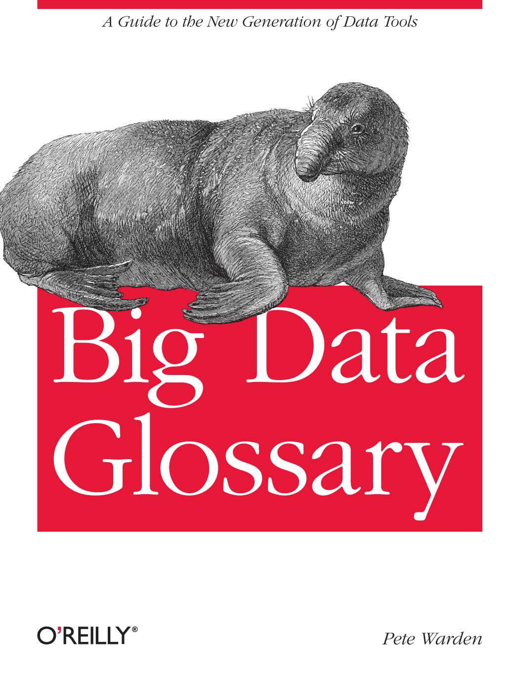 Big Data Glossary Pete Warden