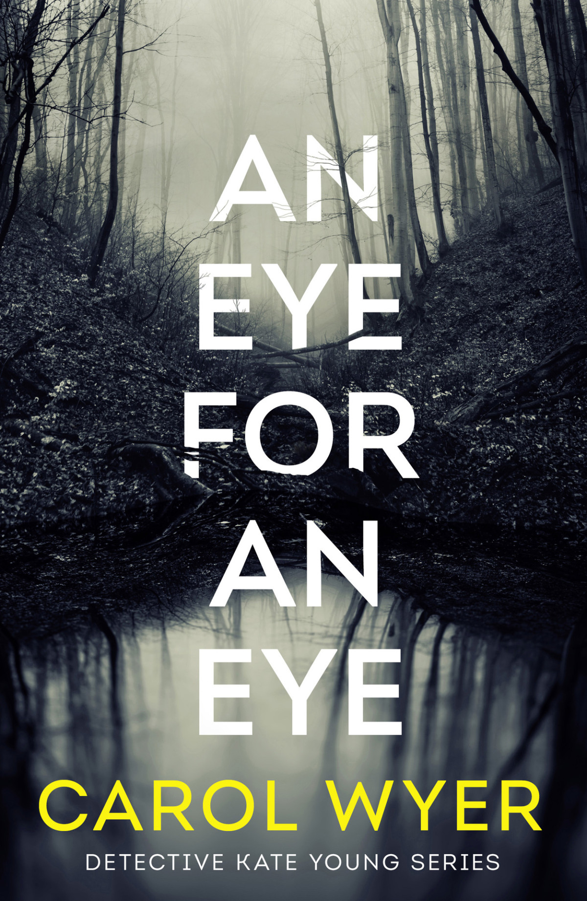 An Eye For An Eye Detective Kate Young Wyer Carol