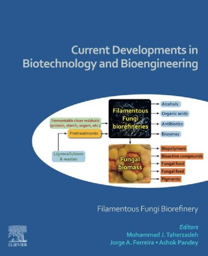 Current Developments In Biotechnology And Bioengineering Filamentous Fungi Biorefinery Mohammad Taherzadeh
