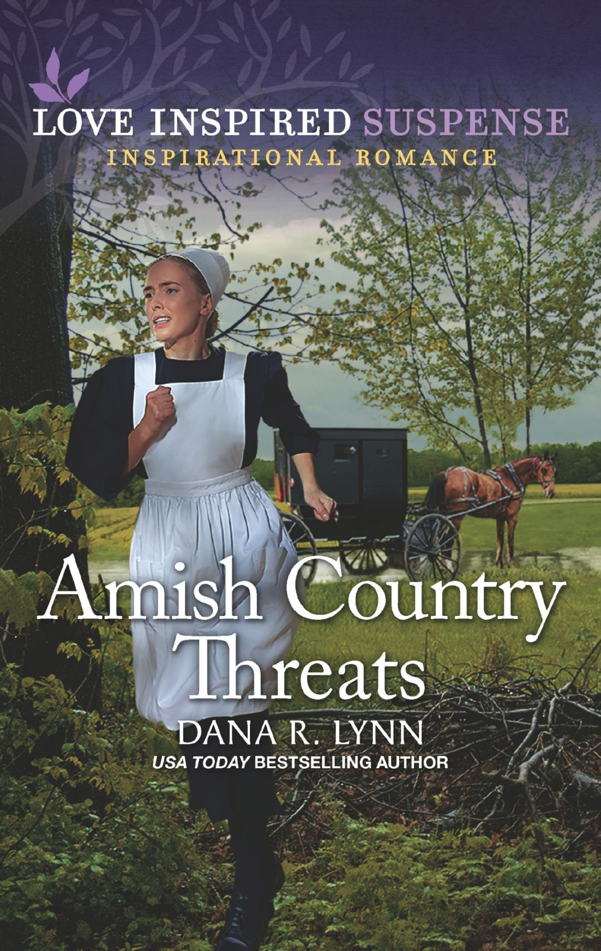 Amish Country Threats Dana R Lynn