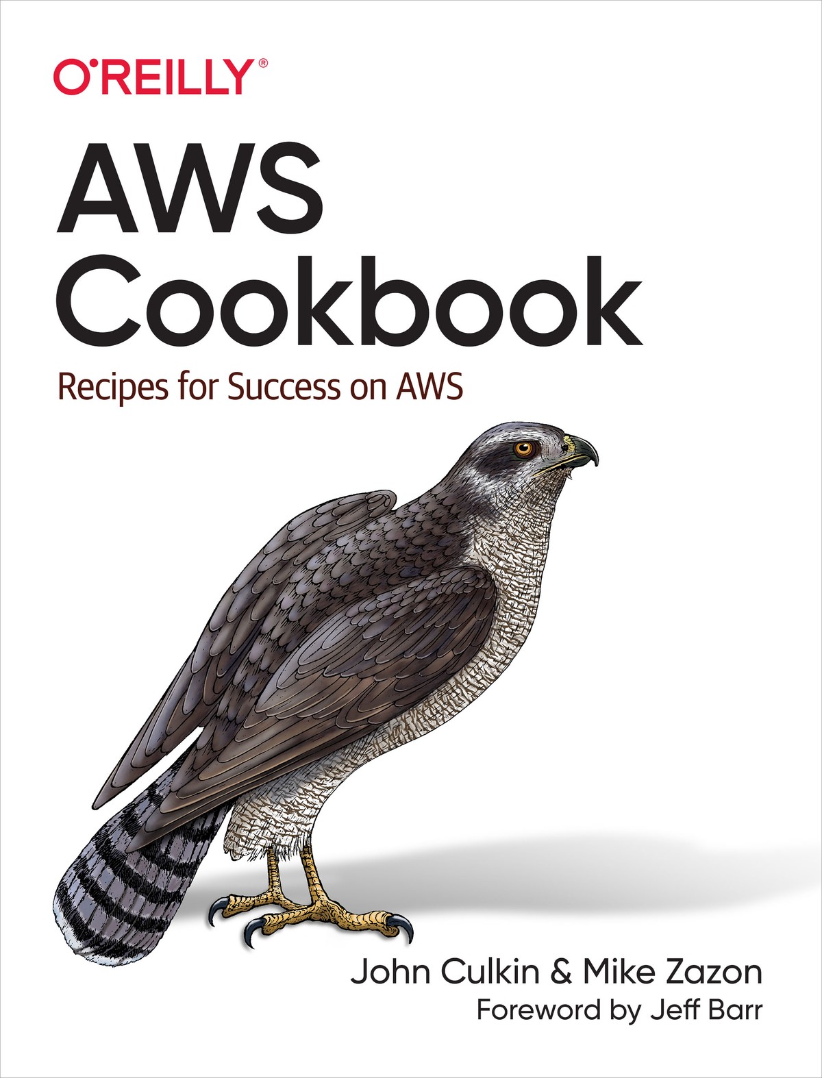 Aws Cookbook Recipies For Success On Aws John Culkin Mike Zazon