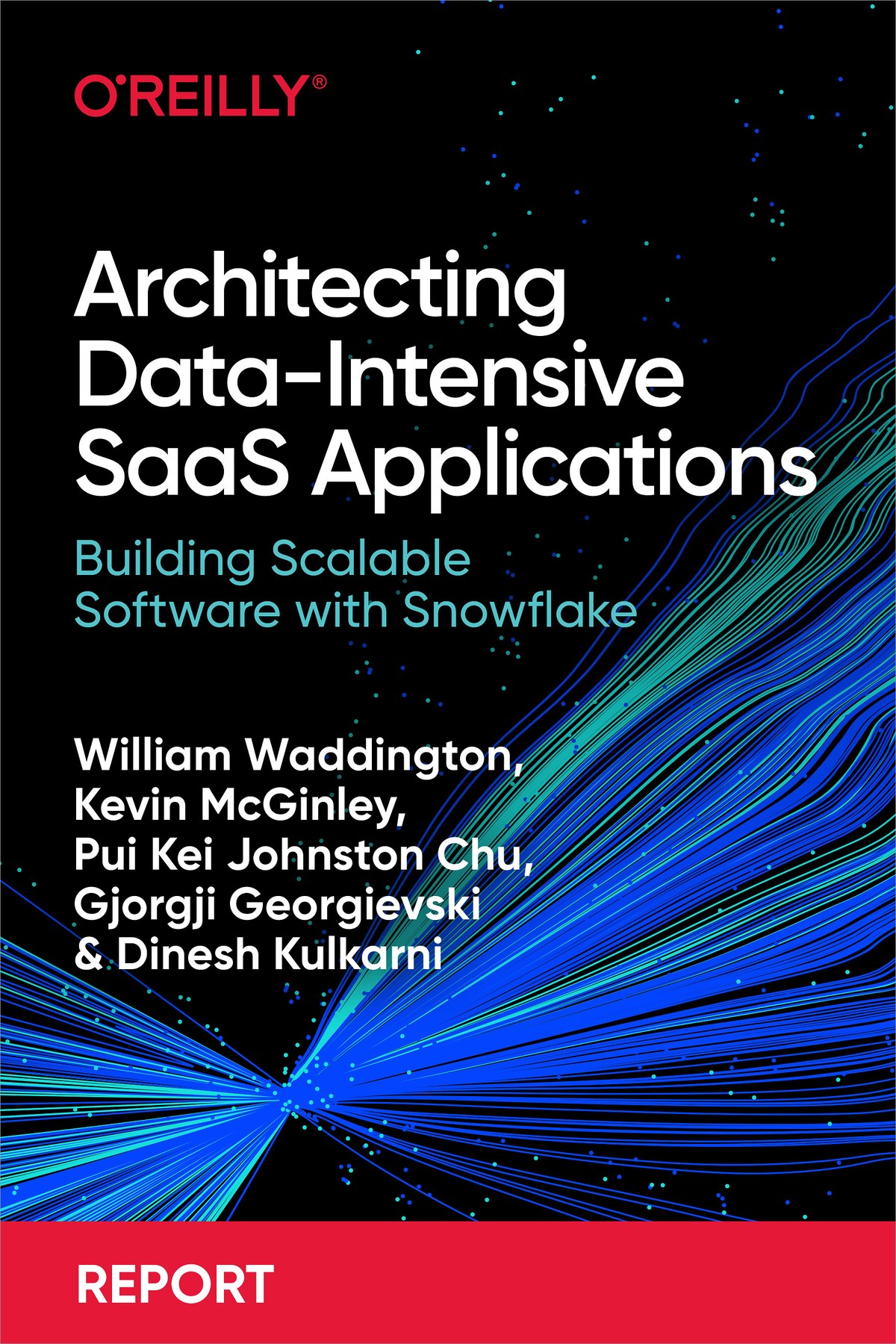 Architecting Dataintensive Saas Applications William Waddington Kevin Mcginley Pui Kei Johnston Chu