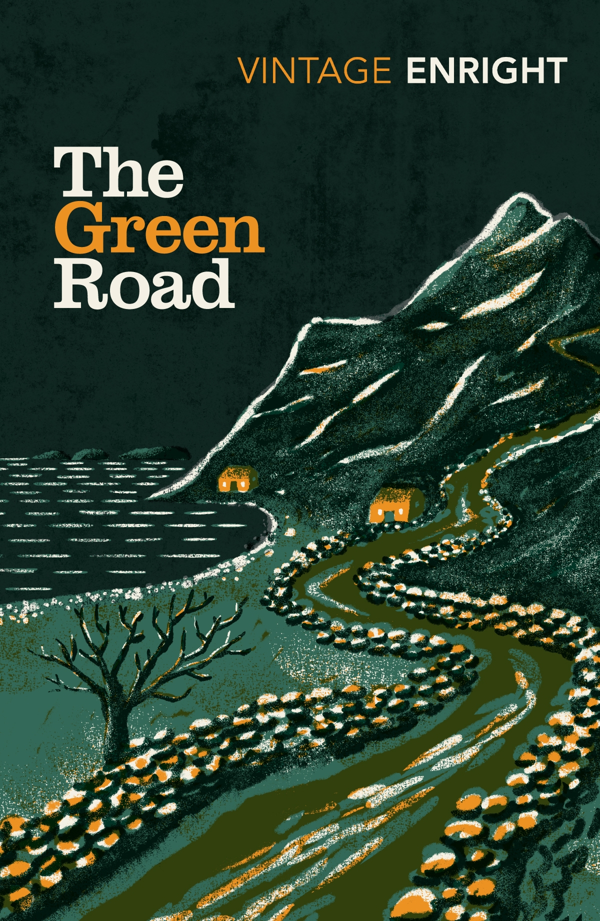 The Green Road Anne Enright