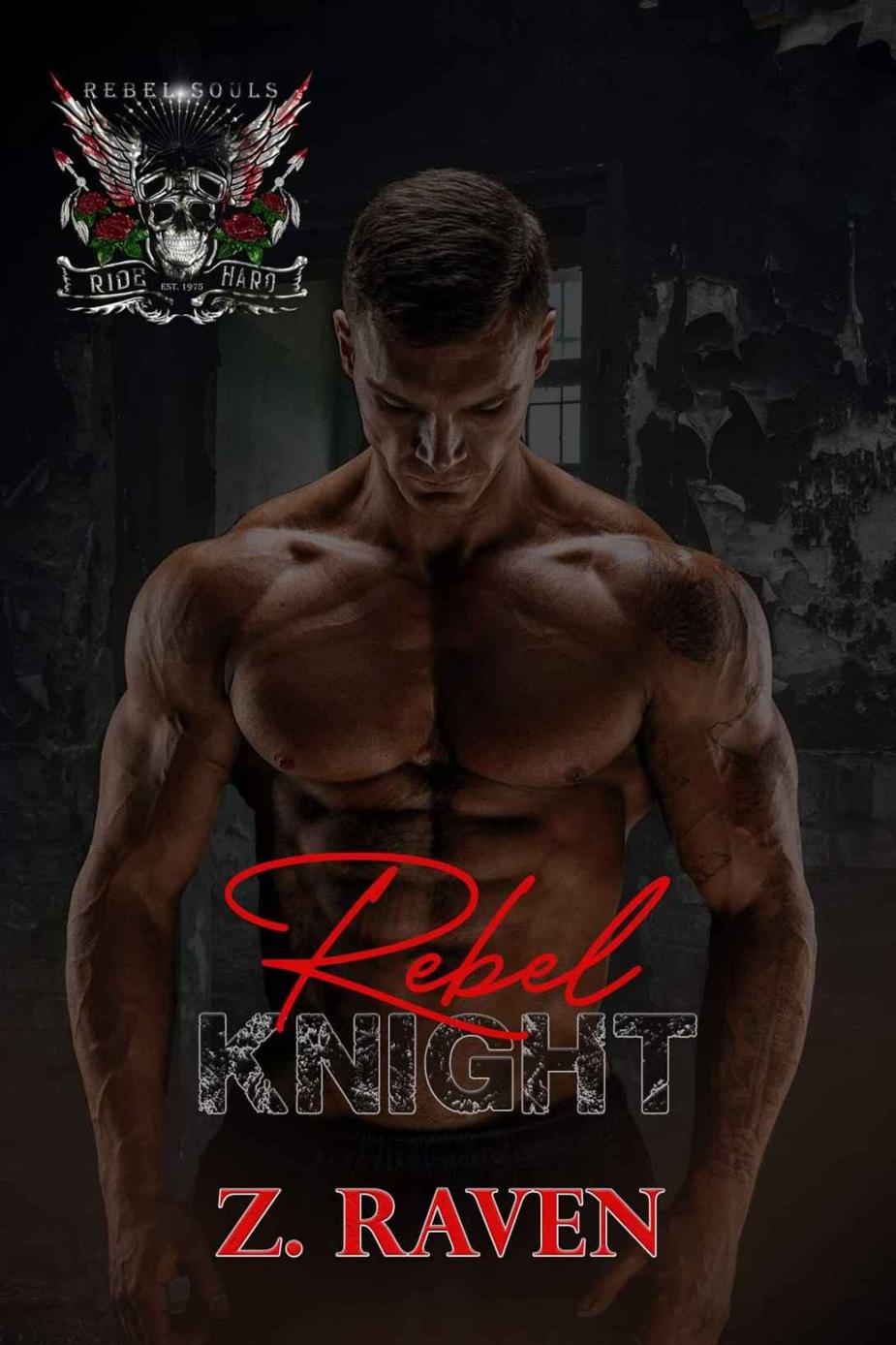 Rebel Knight A World Of Rebel Souls Novel Z Raven
