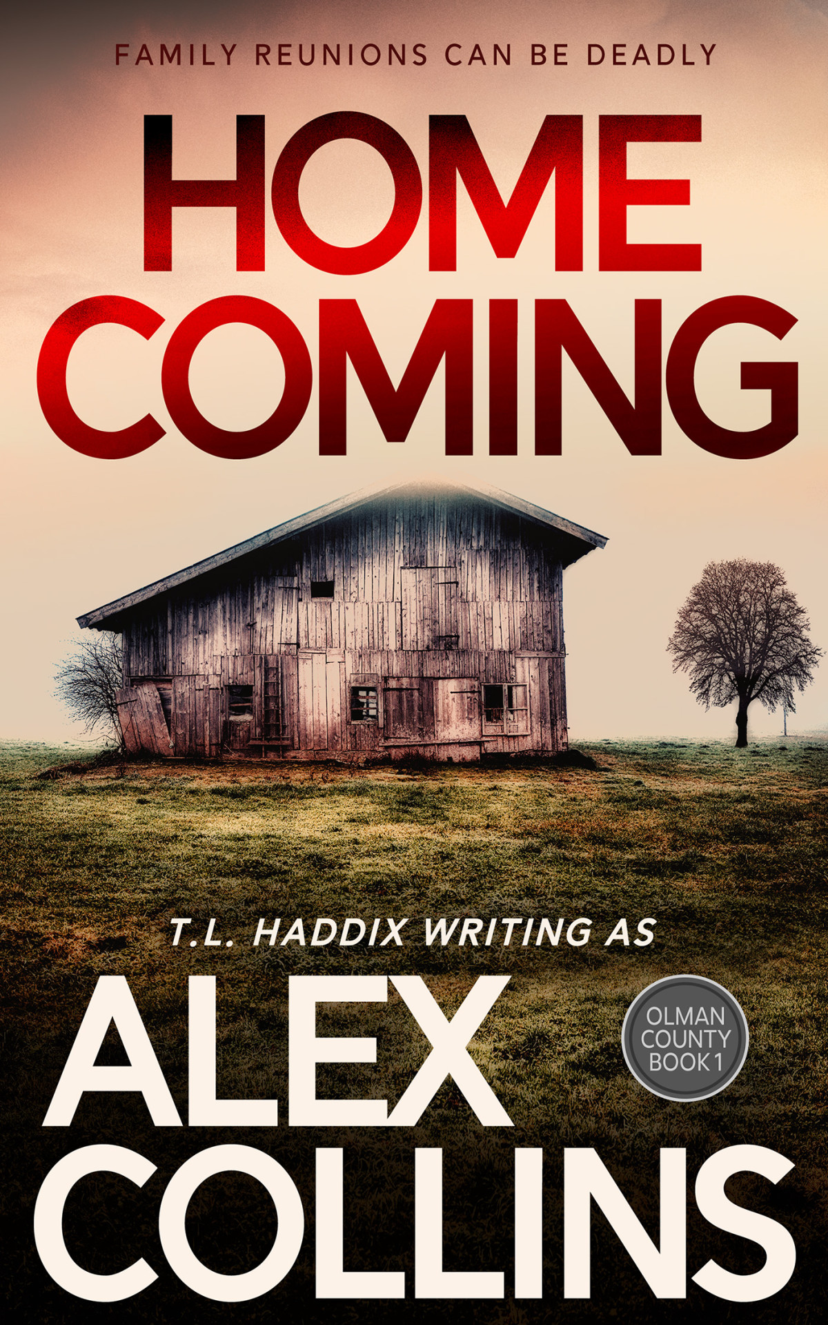 Homecoming Also Published As Secrets In The Shadows Alex Collins