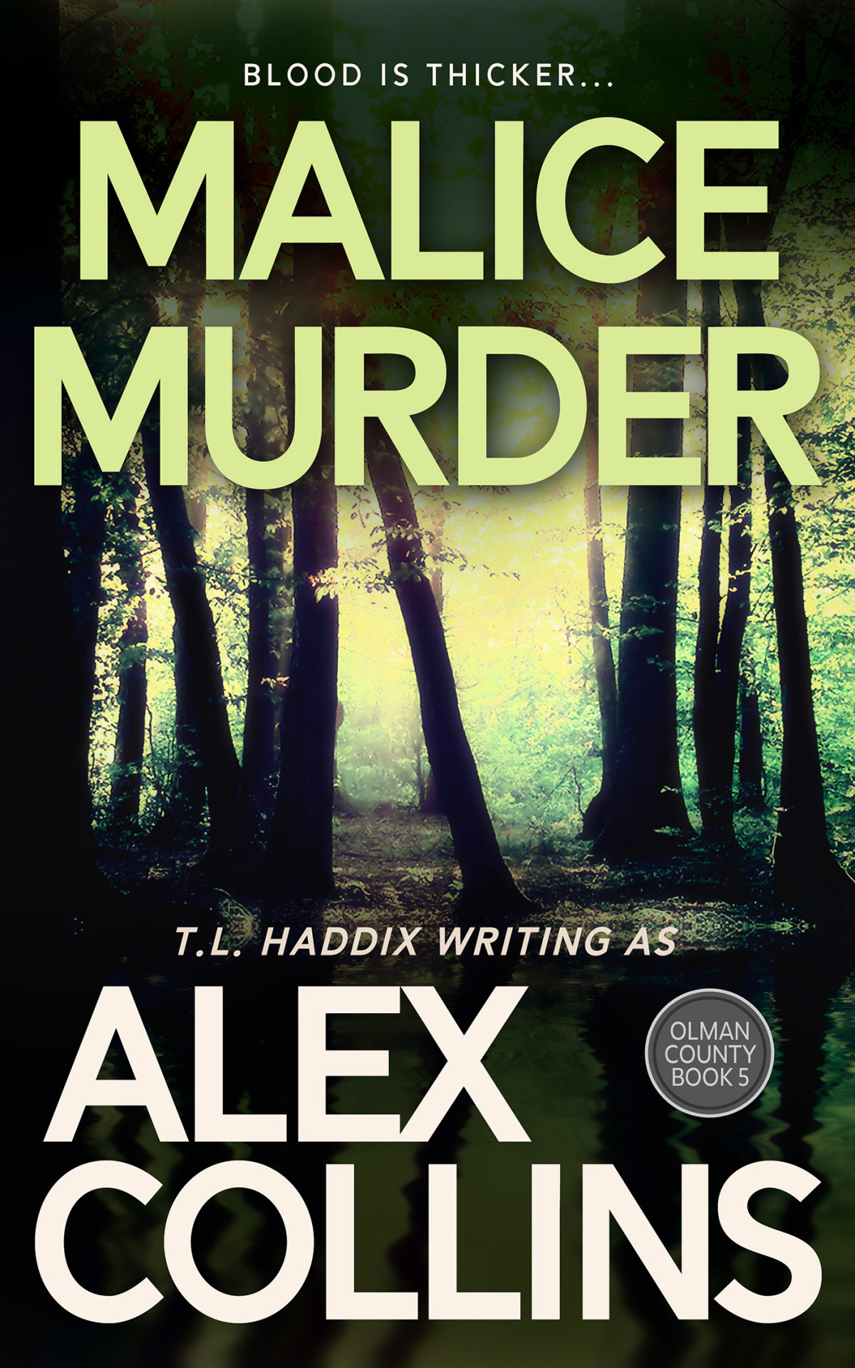 Malice Murder Alex Collins