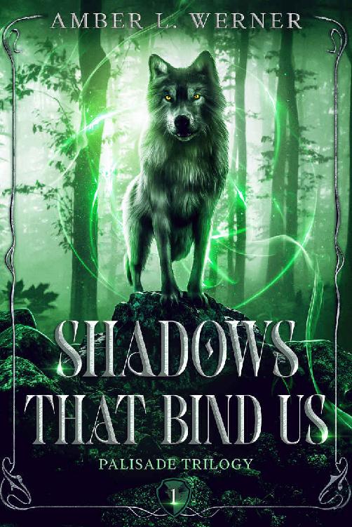 Shadows That Bind Us Palisade Trilogy 1 Amber L Werner