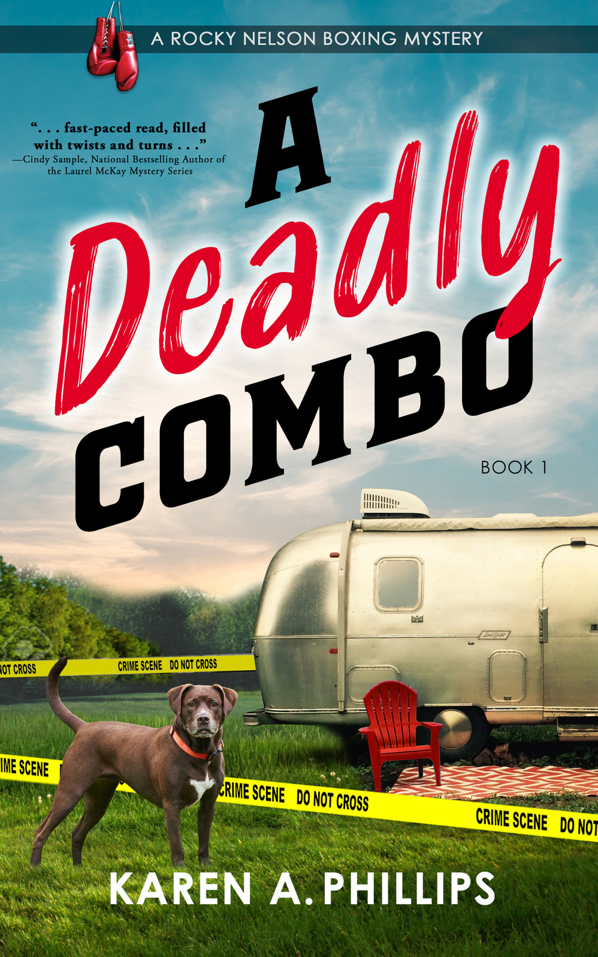 A Deadly Combo Karen A Phillips