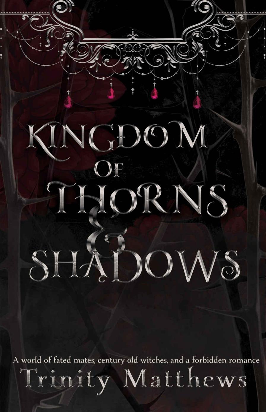 Kingdom Of Thorns Shadows Trinity Matthews