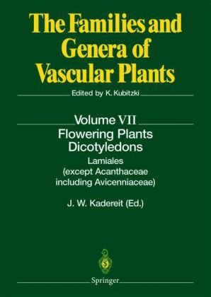 Flowering Plants Dicotyledons Lamiales Except Acanthaceae Including Avicenniaceae 1st Edition Joachim W Kadereit