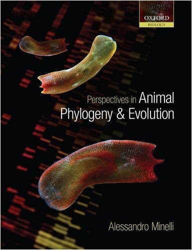 Perspectives In Animal Phylogeny And Evolution Alessandro Minelli
