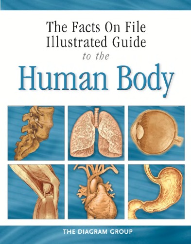 The Facts On File Illustrated Guide To The Human Body Digestive System Diagram Group