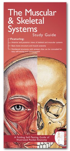 Anatomical Chart Companys Illustrated Pocket Anatomy The Muscular Skeletal Systems Study Guide Second Anatomical Chart Company