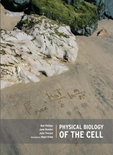 Physical Biology Of The Cell 1st Edition Rob Phillips Jane Kondev