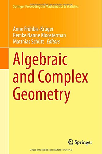Algebraic And Complex Geometry In Honour Of Klaus Huleks 60th Birthday 2014th Edition Anne Frhbiskrger