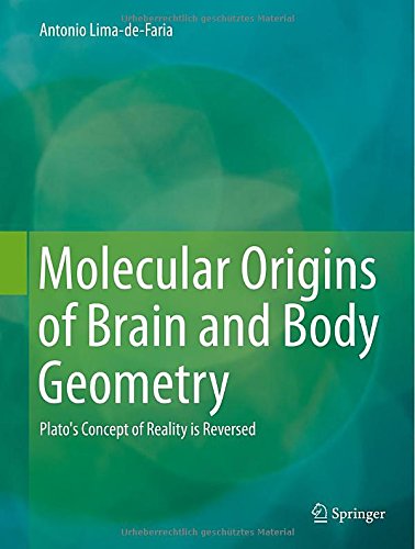 Molecular Origins Of Brain And Body Geometry Platos Concept Of Reality Is Reversed 2014th Edition Antonio Limadefaria
