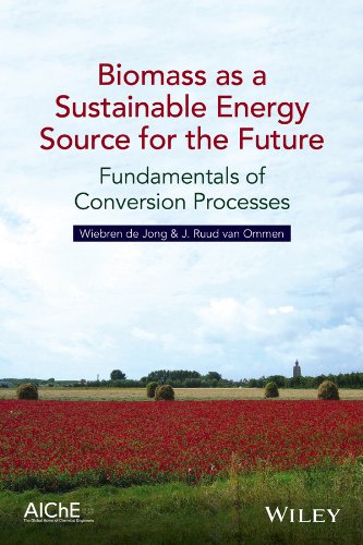 Biomass As A Sustainable Energy Source For The Future Fundamentals Of Conversion Processes 1st Edition Wiebren De Jong