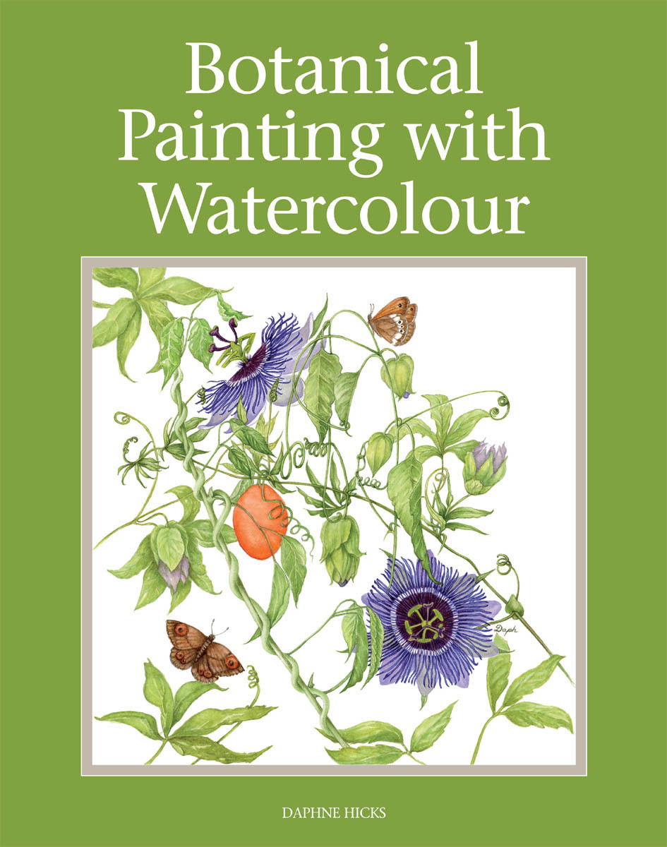 Botanical Painting With Watercolour Daphne Hicks