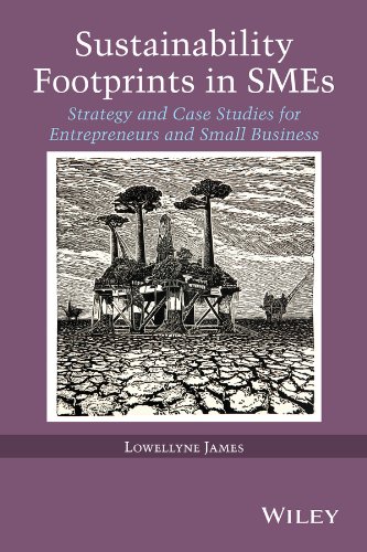 Sustainability Footprints In Smes Strategy And Case Studies For Entrepreneurs And Small Business 1st Edition Lowellyne James