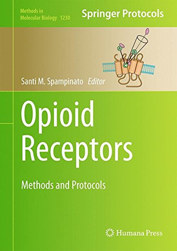 Opioid Receptors Methods And Protocols 1st Edition Santi M Spampinato Eds