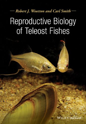 Reproductive Biology Of Fishes Robert J Wootton Carl Smith