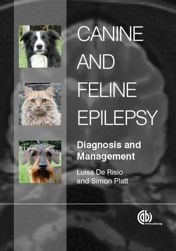 Canine And Feline Epilepsy Diagnosis And Management Luisa De Risio
