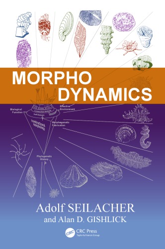 Morphodynamics Adolf Seilacher Alan D Gishlick