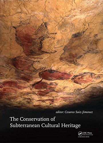 The Conservation Of Subterranean Cultural Heritage 1st Edition Saizjimenez