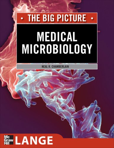 The Big Picture Medical Microbiology 1st Edition Neal R Chamberlain
