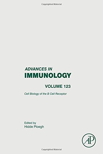 Cell Biology Of The B Cell Receptor 1st Edition Hidde L Ploegh