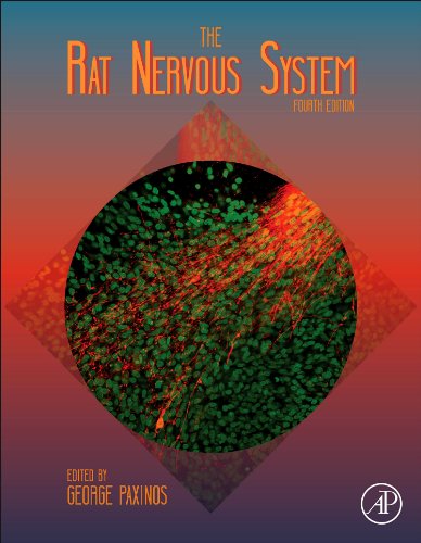 The Rat Nervous System 4th Edition George Paxinos
