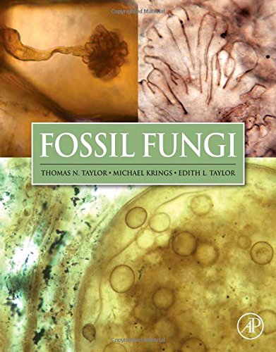 Fossil Fungi 1st Edition Thomas N Taylor Michael Krings Edith L Taylor