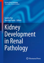 Kidney Development In Renal Pathology 1st Edition Gavino Faa