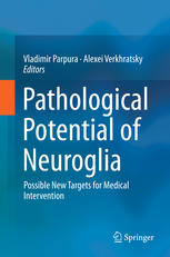 Pathological Potential Of Neuroglia Possible New Targets For Medical Intervention 1st Edition Vladimir Parpura