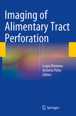 Imaging Of Alimentary Tract Perforation 1st Edition Luigia Romano