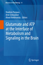 Glutamate And Atp At The Interface Of Metabolism And Signaling In The Brain 1st Edition Vladimir Parpura