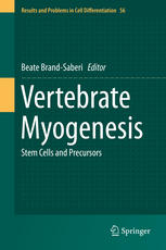 Vertebrate Myogenesis Stem Cells And Precursors 1st Edition Beate Brandsaberi Eds