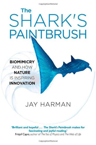 The Sharks Paintbrush Jay Harman