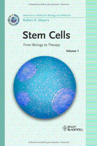 Stem Cells From Biology To Therapy Robert A Meyers