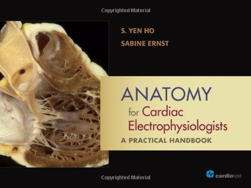 Anatomy For Cardiac Electrophysiologists A Practical Handbook 1st Edition S Yen Ho