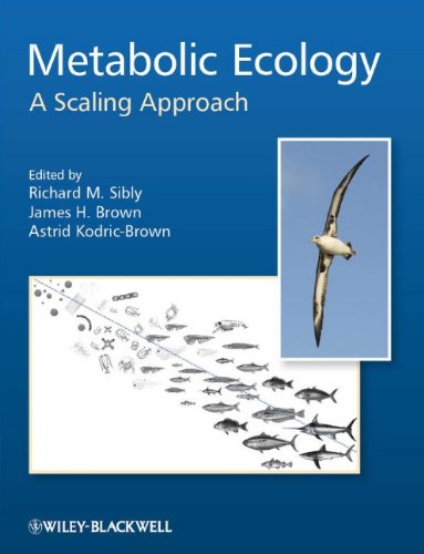 Metabolic Ecology A Scaling Approach 1st Edition Richard M Sibly
