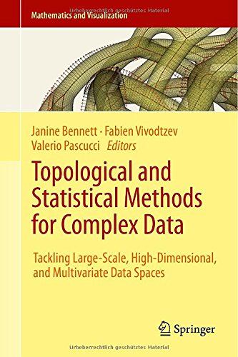 Topological And Statistical Methods For Complex Data Tackling Largescale Highdimensional And Multivariate Data Spaces 2015th Edition Janine Bennett