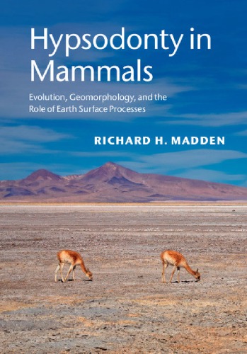 Hypsodonty In Mammals Evolution Geomorphology And The Role Of Earth Surface Processes Richard H Madden