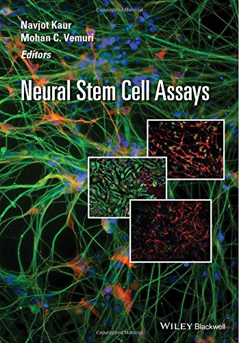 Neural Stem Cell Assays 1st Edition Mohan Vemuri N Kaur