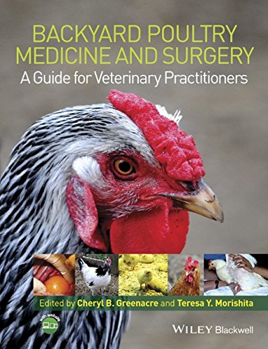 Backyard Poultry Medicine And Surgery A Guide For Veterinary Practitioners 1st Edition Cheryl B Greenacre